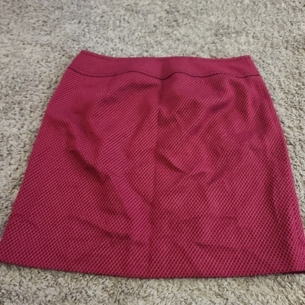 ANNE Taylor Loft skirt size 10